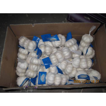 2015 New Crop Fresh Chinese Pure White Garlic